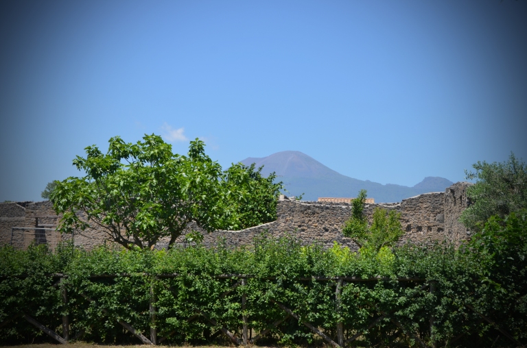 View of Vesuvius from Pompeii