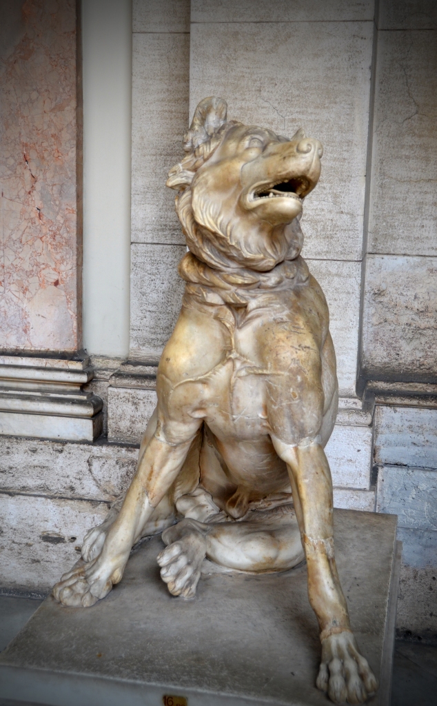 dogs of Rome